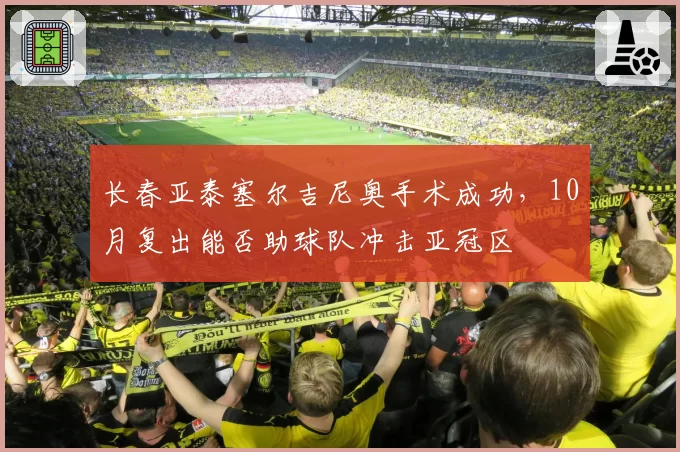 长春亚泰塞尔吉尼奥手术成功,10月复出能否助球队冲击亚冠区